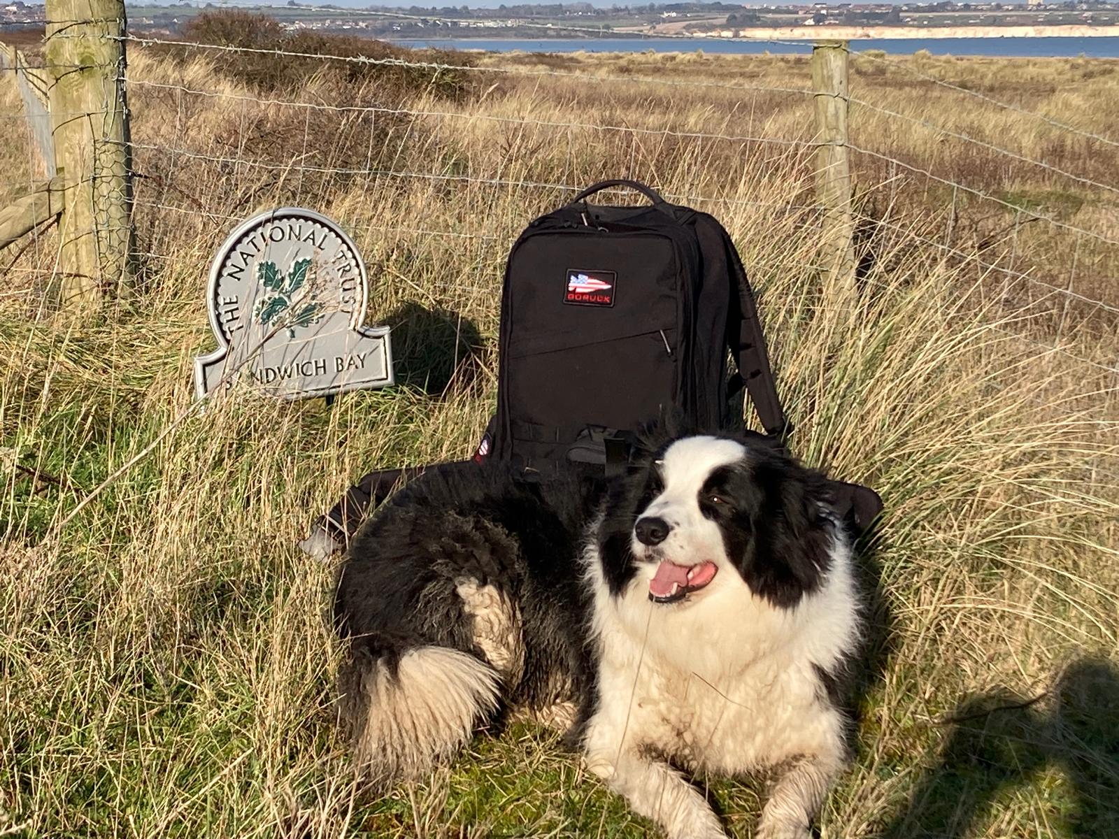 Dog beside a rucksack at Sandwich Bay